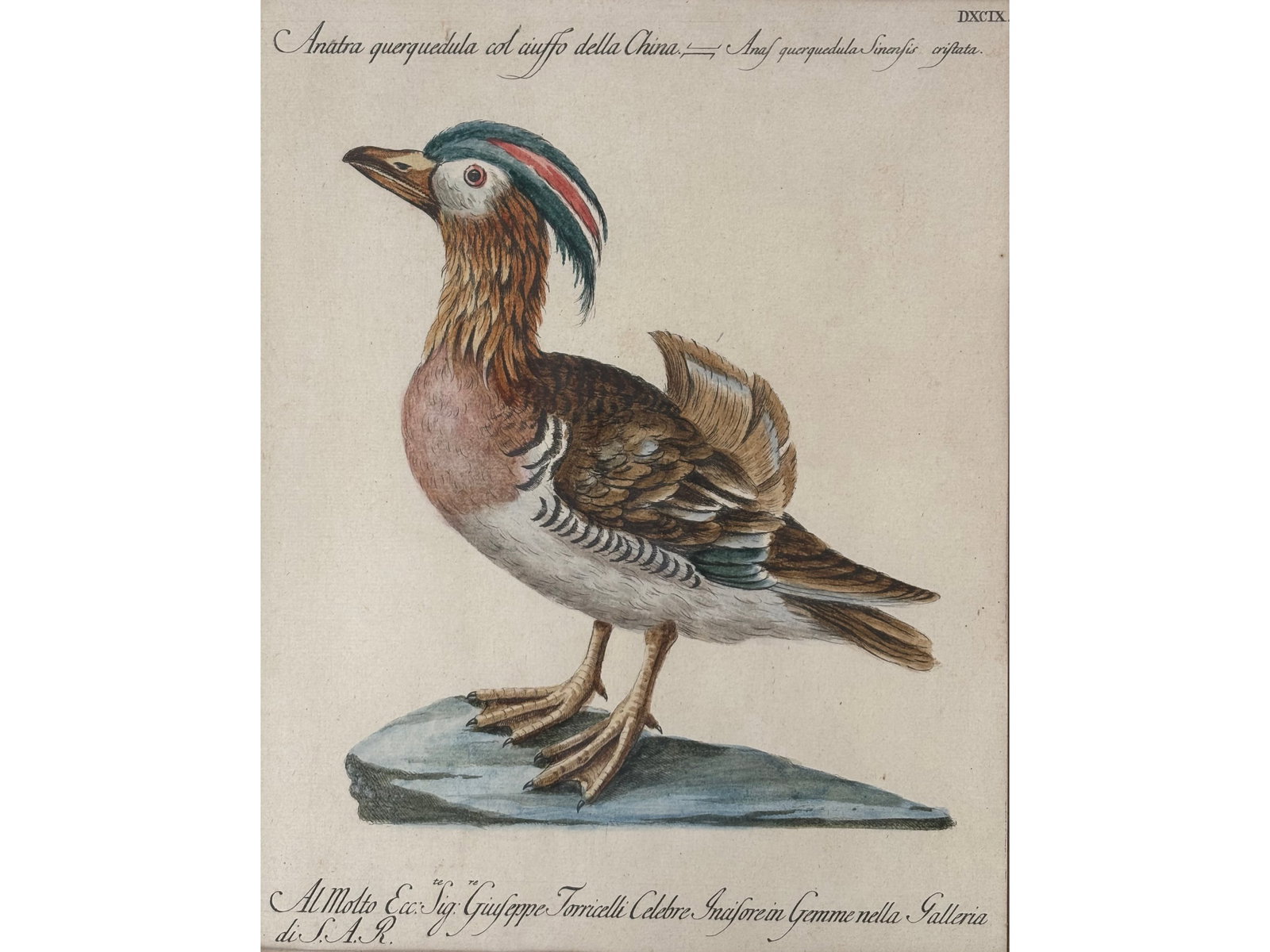 SAVERIO MANETTI, BROZZI 1723 - 1784 BROZZI (1 of 3)