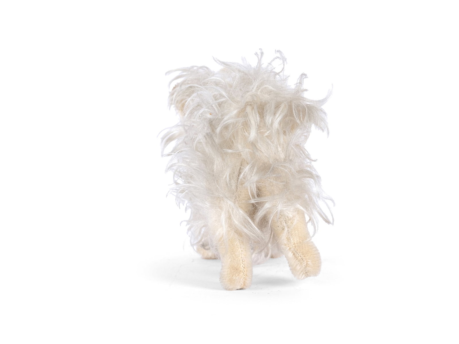 MINIATURE SPITZ, STEIFF - 5