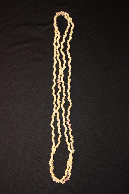 Sea Shell Necklace: Sea Shell Necklace 52"