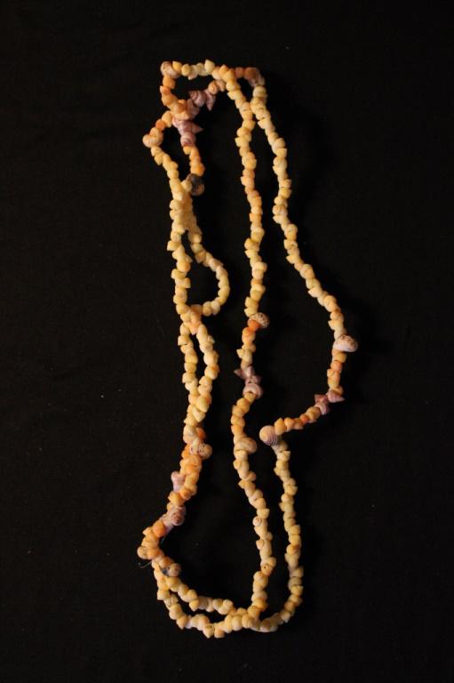 Sea Shell Necklace: Sea Shell Necklace 46"