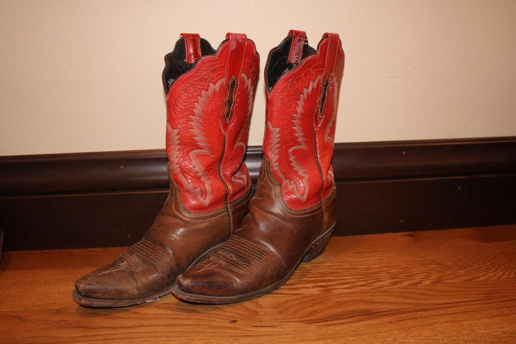 Lucchese Boots Size 6.5 Worn: Lucchese Boots Size 6.5 Worn
