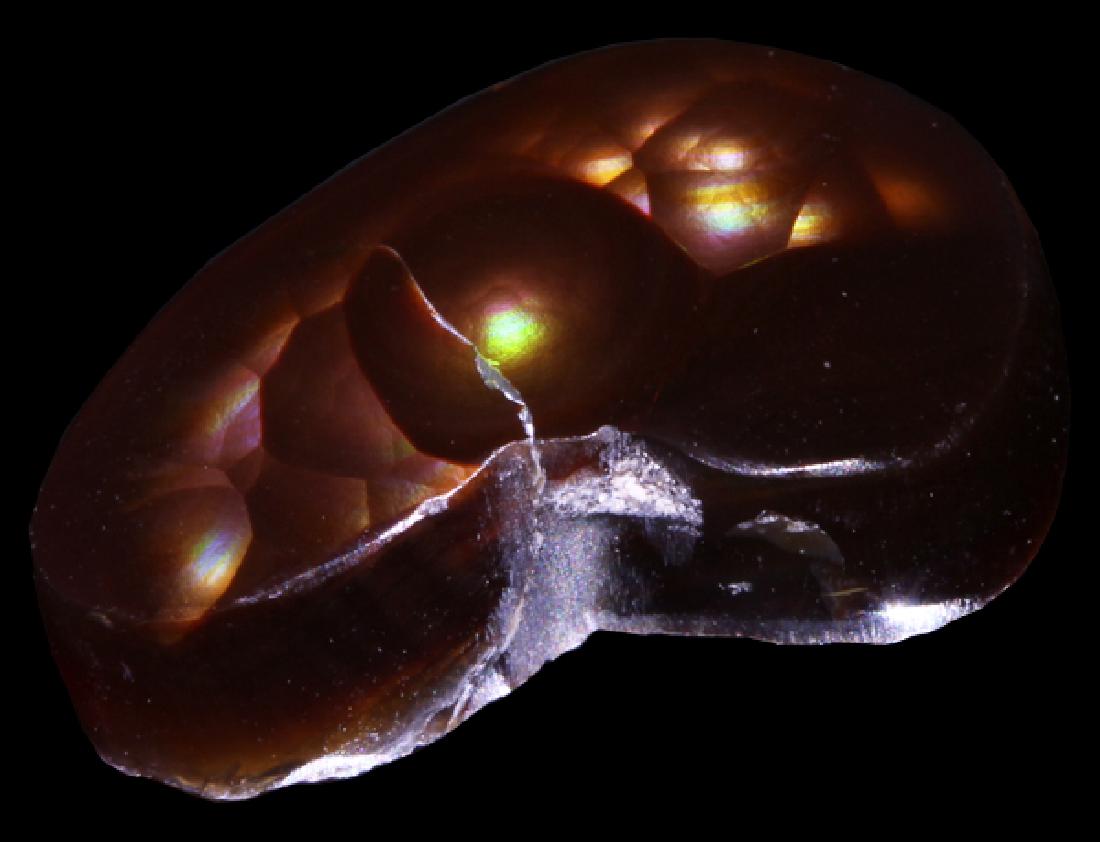 11.25ct Super HOT Mexican Fire Agate Mine Cut Cabochon: Untreated natural hi-grade specimen