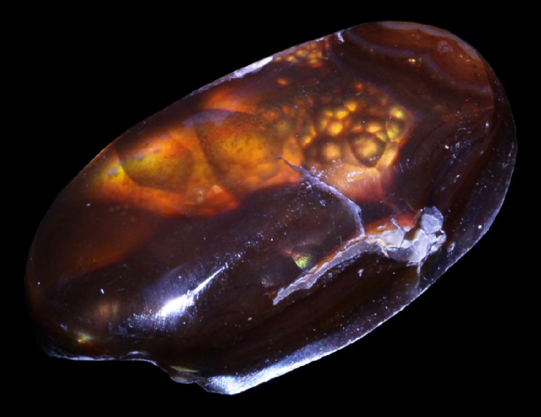 12.2ct Super HOT Mexican Fire Agate Mine Cut Cabochon (1 of 1)