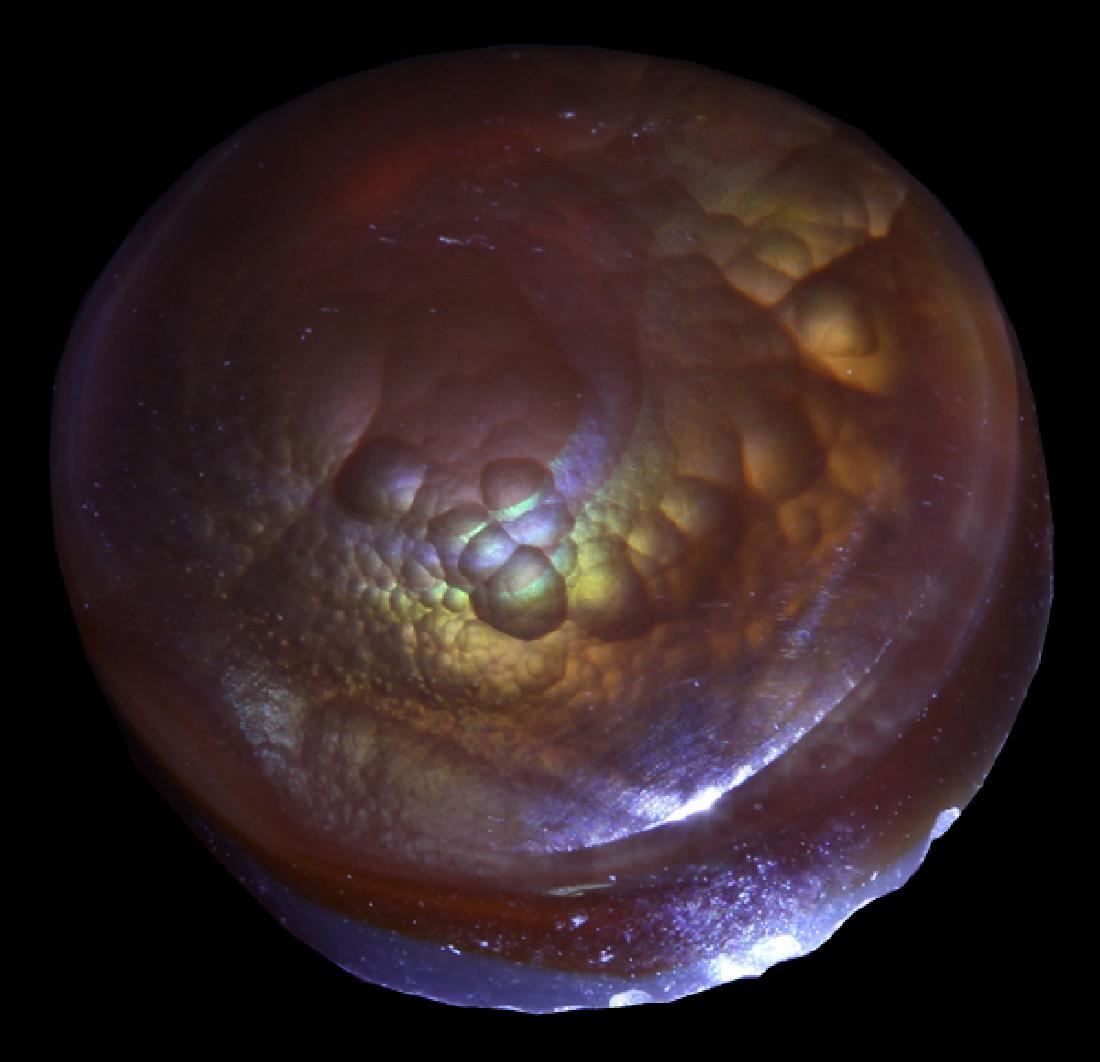 8.4ct Super HOT Mexican Fire Agate Mine Cut Cabochon: Untreated natural hi-grade specimen