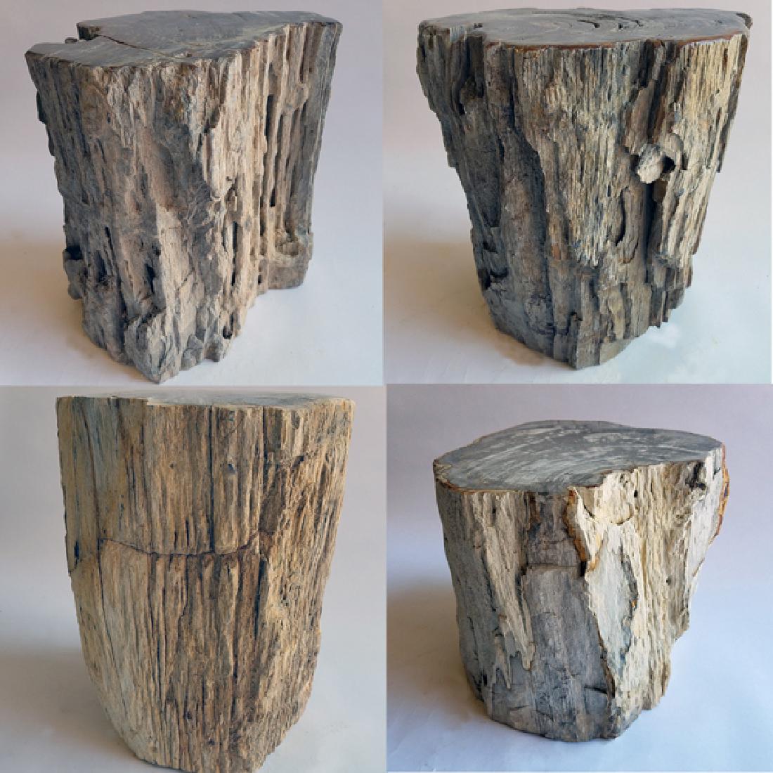 Nearly 1/4 TON Petrified Wood Logs GEM Quality - Face (1 of 9)