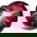 1026: 16.82ct Stunning Oval Cab Red 6 Rays Star Ruby