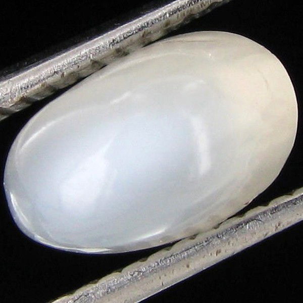 2.85ct Moonstone Cat's Eye Cabochon: Excellent hi grade piece; well cut & colored; with treatment
