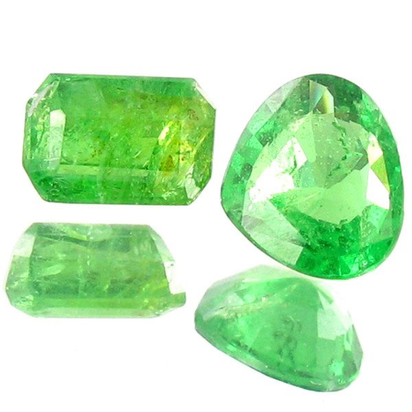 2.4ct Grass Grn Tsavorite Garnet Appraised $12k: Excellent grass green colored parcel 2 pieces mixed cut; lab quality evaluation 7; treatment as noted; Gem Guide wholesale $1778-$2963; full retail appraisal $11859; full lab evaluation available