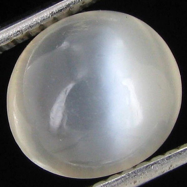 3.15ct Moonstone Cat's Eye Cabochon: Excellent hi grade piece; well cut & colored; with treatment
