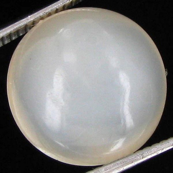 10.90ct Moonstone Cat's Eye Cabochon: Excellent hi grade piece; well cut & colored; with treatment