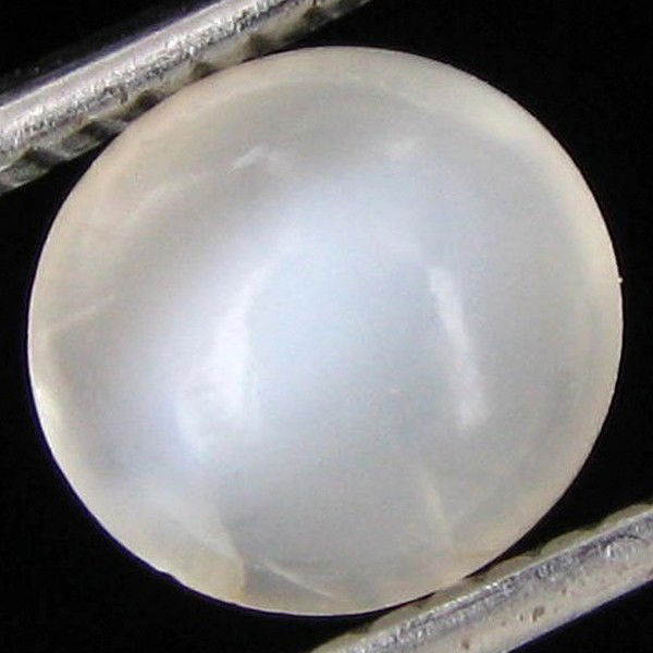 1.80ct Moonstone Cat's Eye Cabochon: Excellent hi grade piece; well cut & colored; with treatment