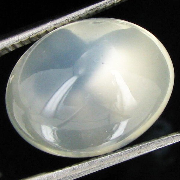 12.40ct Clear Misty Moonstone Cat's Eye Cabochon: Excellent piece; well cut & colored; with treatment