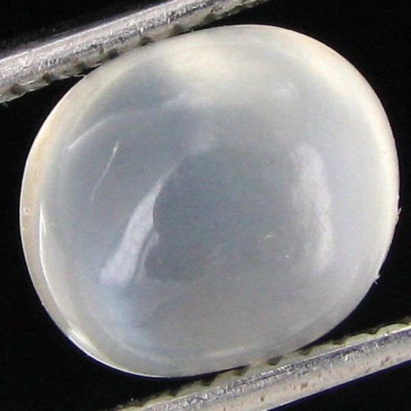 2.70ct Moonstone Cat's Eye Cabochon: Excellent hi grade piece; well cut & colored; with treatment