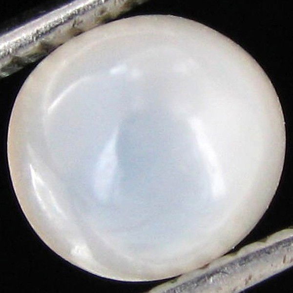 1.90ct Moonstone Cat's Eye Cabochon: Excellent hi grade piece; well cut & colored; with treatment