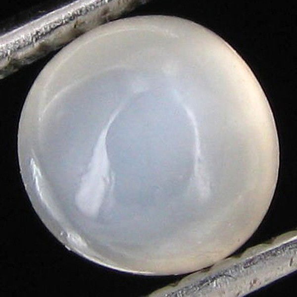 1.50ct Moonstone Cat's Eye Cabochon: Excellent hi grade piece; well cut & colored; with treatment