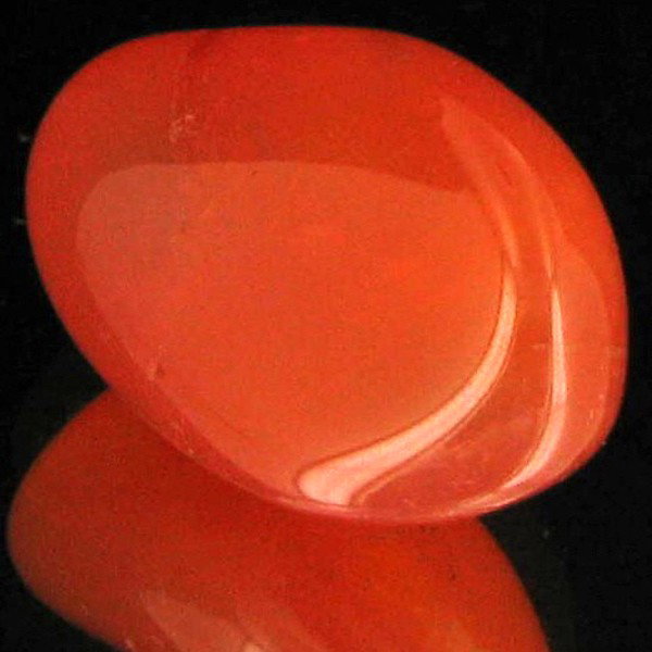 23.5ct Carnelian Freeform Cabochon: Excellent and well colored; with treatment