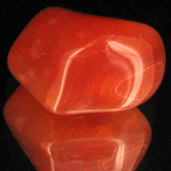 23.25ct Carnelian Freeform Cabochon: Excellent and well colored; with treatment