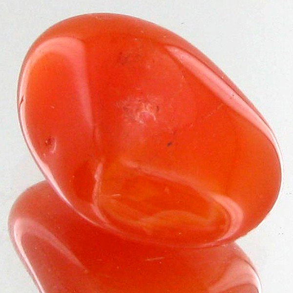 19.75ct Carnelian Freeform Cabochon: Excellent and well colored; with treatment
