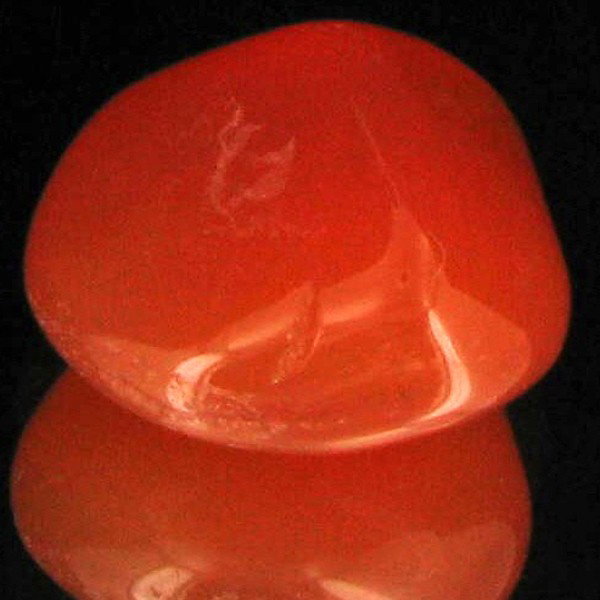 20.1ct Carnelian Freeform Cabochon: Excellent and well colored; with treatment