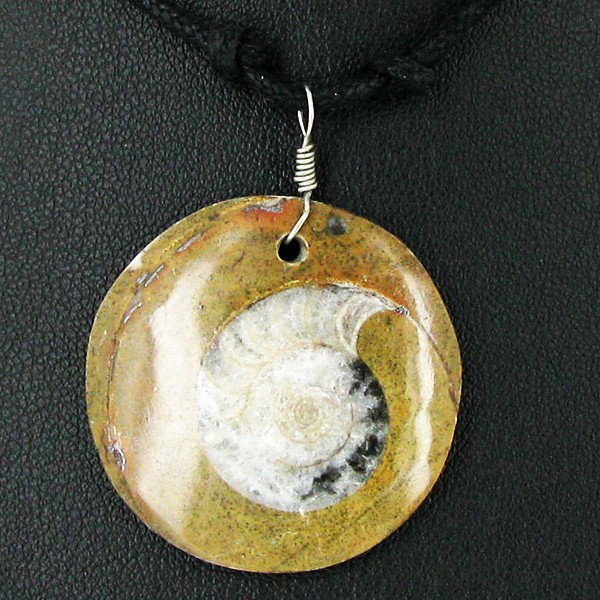 Tribolite Fossil Choker Necklace: Nice workmanship