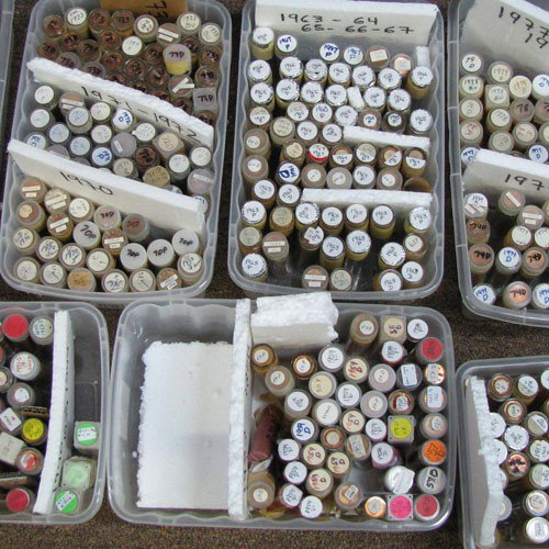 1959D Unsearched Estate Hoard BU Cent Roll of 50: 50 pieces; One unsearched brilliant uncirculated roll of the date listed from the partially pictured estate hoard of a very picky hoarder! This guy put away only choice or better coins. 10000+ rolls a