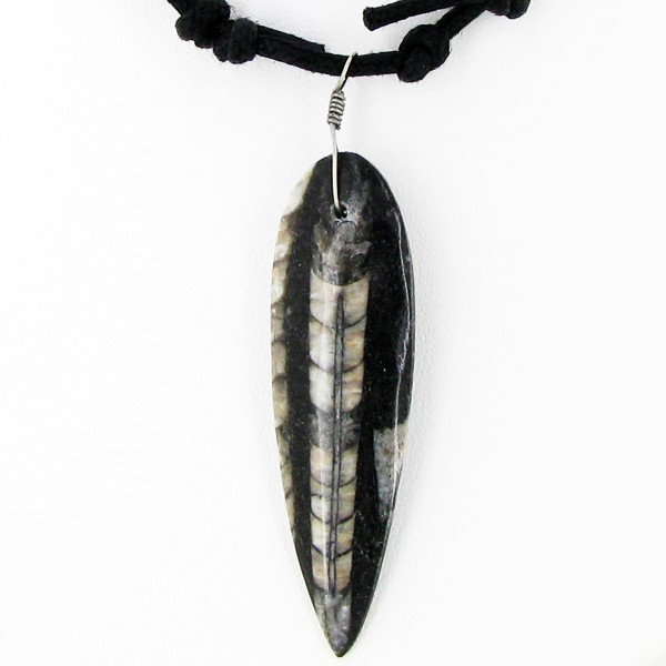 Ammonite Fossil Choker Necklace: Nice workmanship