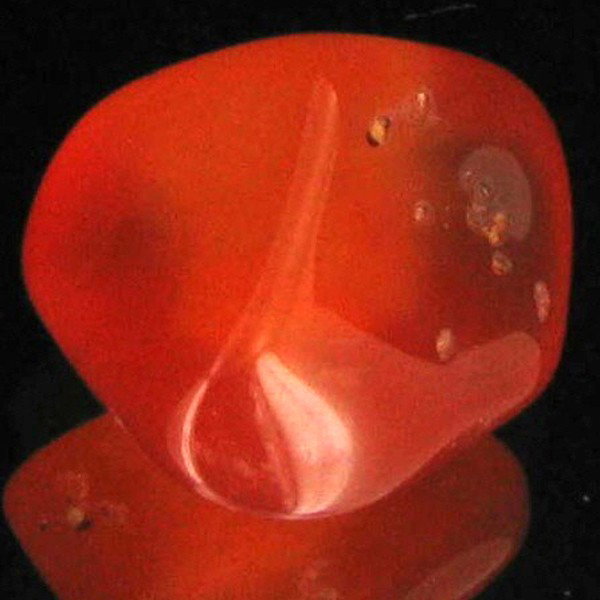 14.35ct Carnelian Freeform Cabochon: Excellent and well colored; with treatment