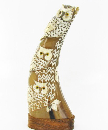 RARE White Water Buffalo Horn Scrimshaw 3 Owls: Excellent piece; finely carved on very rare WHITE water buffalo horn; 9.5"