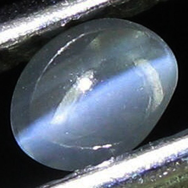 0.17ct Clr Chg Cats Eye Alexandrite Apprsd. $204 E: Excellent specimen; gemologist appraisal included
