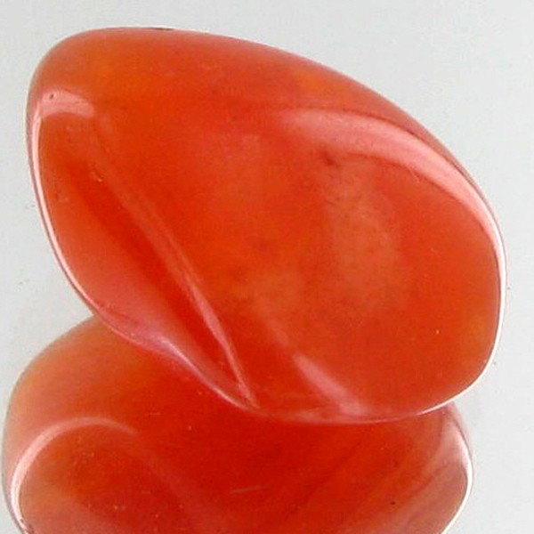 19.45ct Carnelian Freeform Cabochon EST: $9 - $18 : Excellent and well colored; with treatment