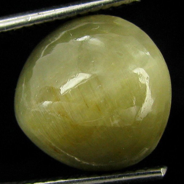 6.85ct Apatite Cat'S Eye Cabochon Oval: Excellent piece; well cut & colored; with treatment