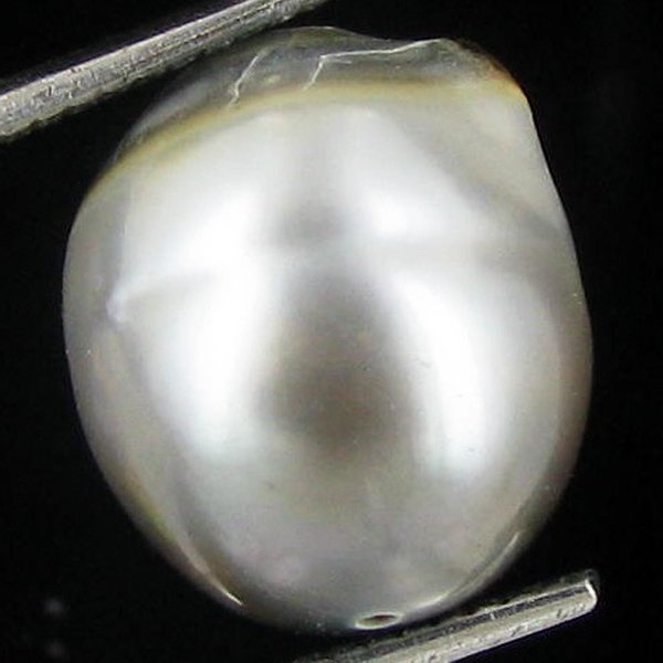8.66ct Freeform Tahitian Black Pearl: Uniquely shaped; drilled and ready for one-of-a-kind pendant
