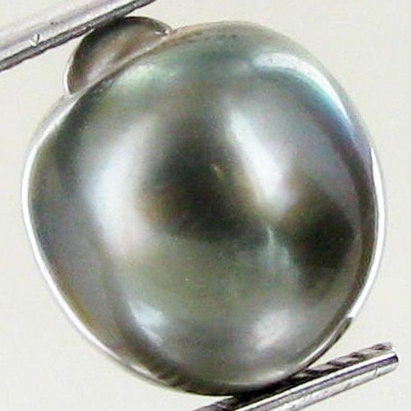 10.93ct Freeform Tahitian Black Pearl: Uniquely shaped; drilled and ready for one-of-a-kind pendant