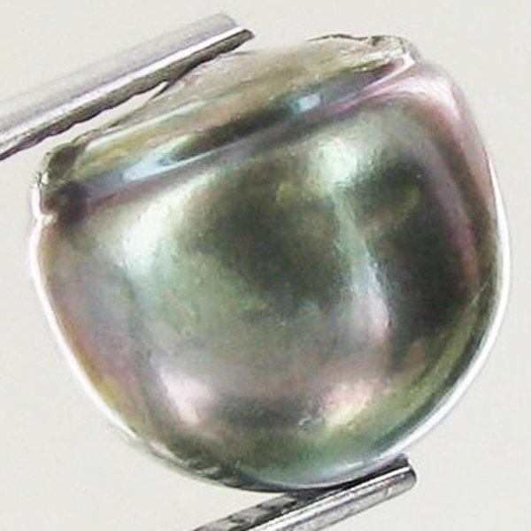 9.37ct Freeform Tahitian Black Pearl: Uniquely shaped; drilled and ready for one-of-a-kind pendant