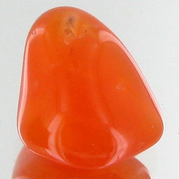 15.65ct Carnelian Freeform Cabochon: Excellent and well colored; with treatment
