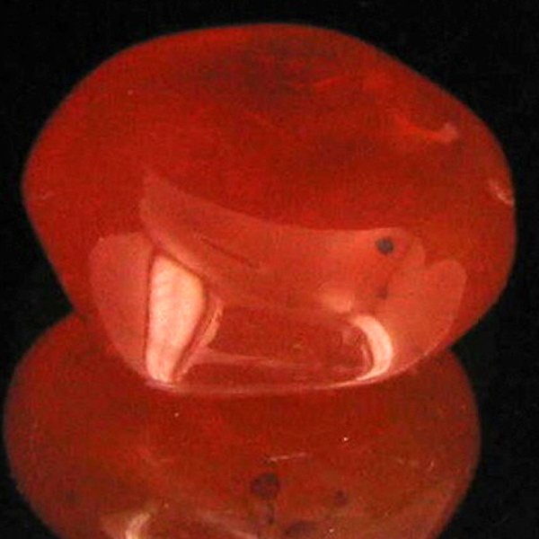 12.15ct Carnelian Freeform Cabochon: Excellent and well colored; with treatment