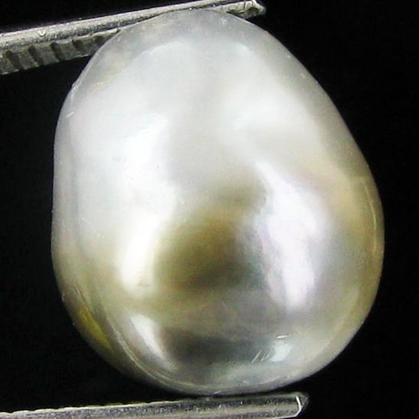7.82ct Freeform Tahitian Black Pearl: Uniquely shaped; drilled and ready for one-of-a-kind pendant