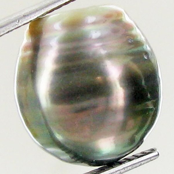 14.3ct Freeform Tahitian Black Pearl: Uniquely shaped; drilled and ready for one-of-a-kind pendant