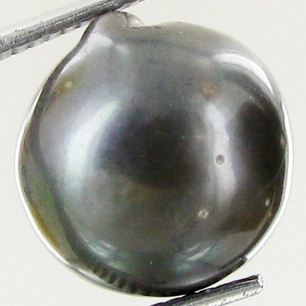 13.39ct Freeform Tahitian Black Pearl: Uniquely shaped; drilled and ready for one-of-a-kind pendant