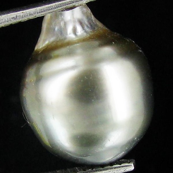 12.6ct Freeform Tahitian Black Pearl: Uniquely shaped; drilled and ready for one-of-a-kind pendant