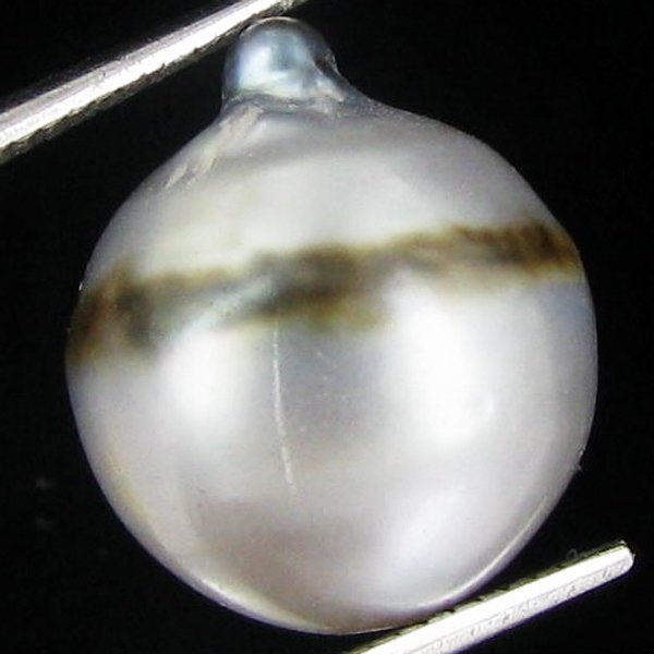 17.07ct Freeform Tahitian Black Pearl: Uniquely shaped; drilled and ready for one-of-a-kind pendant