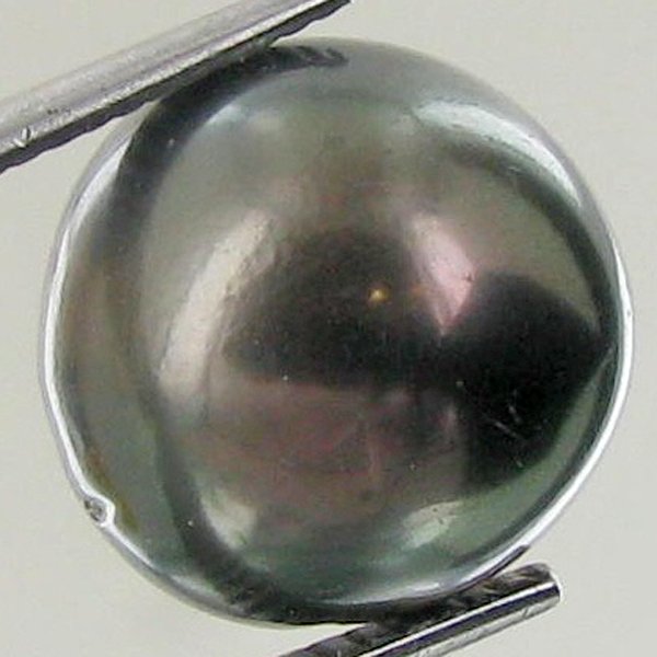 13.38ct Freeform Tahitian Black Pearl: Uniquely shaped; drilled and ready for one-of-a-kind pendant