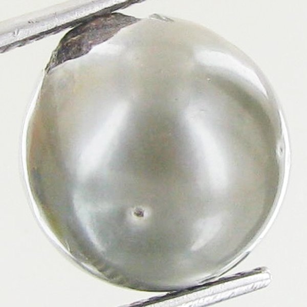 10.68ct Freeform Tahitian Black Pearl: Uniquely shaped; drilled and ready for one-of-a-kind pendant