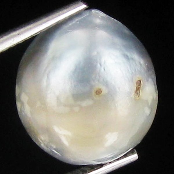13.5ct Freeform Tahitian Black Pearl: Uniquely shaped; drilled and ready for one-of-a-kind pendant