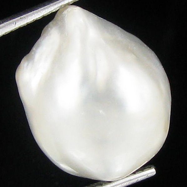 13.98ct Freeform Tahitian Black Pearl: Uniquely shaped; drilled and ready for one-of-a-kind pendant