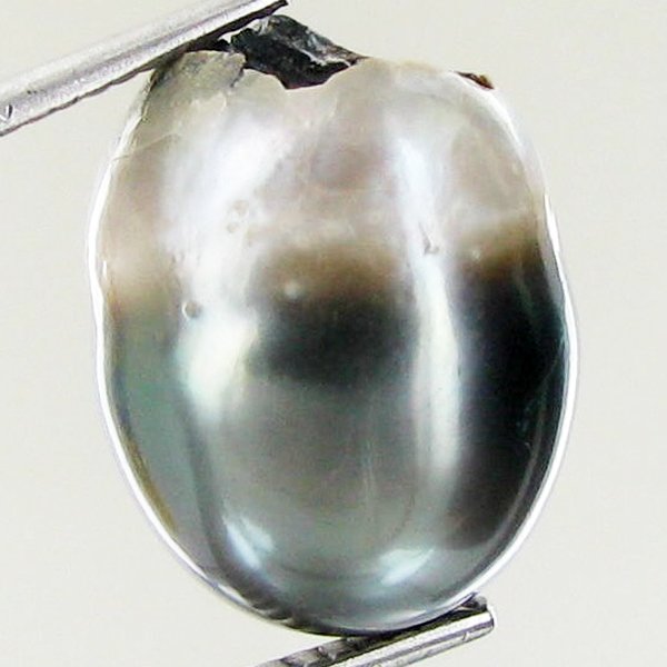 11.02ct Freeform Tahitian Black Pearl: Uniquely shaped; drilled and ready for one-of-a-kind pendant