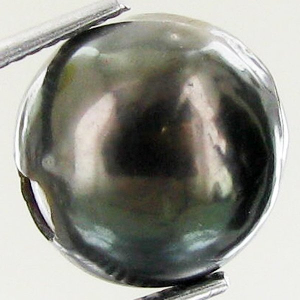 11.46ct Freeform Tahitian Black Pearl: Uniquely shaped; drilled and ready for one-of-a-kind pendant