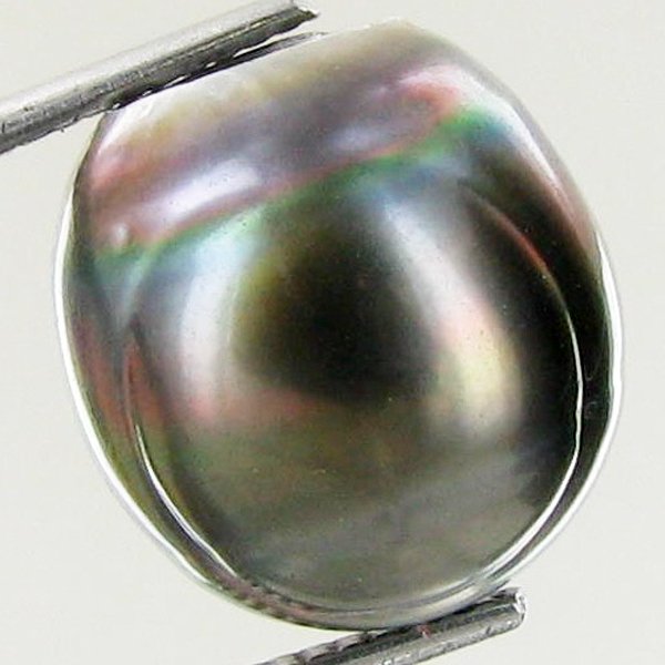 15.54ct Freeform Tahitian Black Pearl: Uniquely shaped; drilled and ready for one-of-a-kind pendant