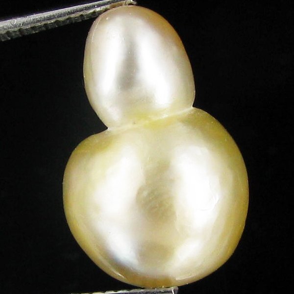 12.49ct Freeform Tahitian Black Pearl: Uniquely shaped; drilled and ready for one-of-a-kind pendant