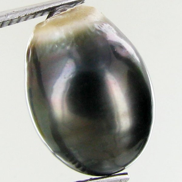 14.37ct Freeform Tahitian Black Pearl: Uniquely shaped; drilled and ready for one-of-a-kind pendant